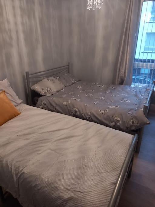 Modern 2-Bedroom City Apartment With Free Parking 벨파스트 외부 사진